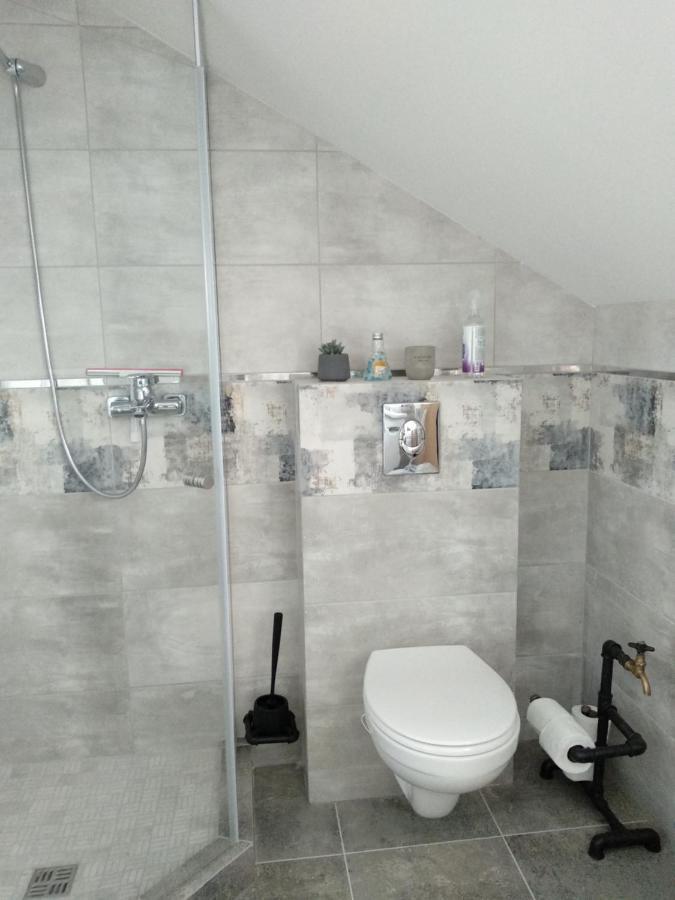 Old Town Loft Apartment Kamianets-Podilskyi